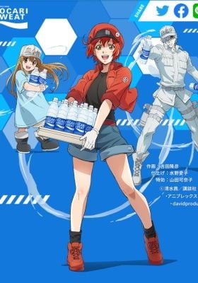 Hataraku Saibou: Necchuushou - Moshimo Pocari Sweat ga Attara