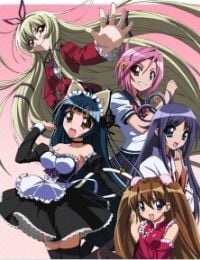 Penguin Musume♥Heart